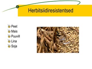 Herbitsiidiresistentsed Peet Mais Puuvill Lina Soja 
