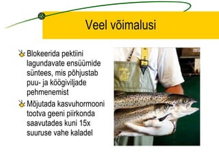 Veel võimalusi Blokeerida pektiini lagundavate ensüümide süntees, mis põhjustab puu- ja köögiviljade pehmenemist Mõjutada kasvuhormooni tootva geeni piirkonda saavutades kuni 15x suuruse vahe kaladel 