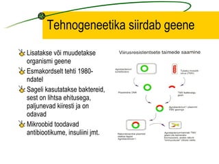 Tehnogeneetika siirdab geene Lisatakse või muudetakse organismi geene Esmakordselt tehti 1980-ndatel Sageli kasutatakse baktereid, sest on lihtsa ehitusega, paljunevad kiiresti ja on odavad Mikroobid toodavad antibiootikume, insuliini jmt. 