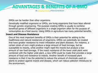 	GMOs can be hardier than other organisms	Genetically modified organisms or GMOs, are living organisms that have been altered through genetic engineering. The purpose creating GMOs is usually to combine beneficial genes of different organisms in a single organism often for the purpose of consumption as a food source. Using GMOs in agriculture has many potential benefits. Insect and Disease Resistance	One of the most important benefits of GMOs is their potential for adding to the healthiness and natural resistances of organisms. GMOs can potentially be created that have greater resistance to insect infestation and plant diseases. For instance, a certain strain of corn might produce a large amount of food tonnage, but be susceptible to insects, while another might repel the insects but produce a low amount of raw food tonnage. If the insect resistance of the lower yield plant were combined with the higher yield plant, a new GMO could be made that provides a large amount of food and resistance to insects. Another benefit of increased plant resistance is that it has the potential to reduce the amount of chemicals used on plants to protect against insects and disease, which can reduce pollution introduces to the environment. Advantages & Benefits of a GMOBy Gregory Hamel, eHow Contributor 