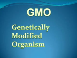 GMO Genetically Modified Organism   