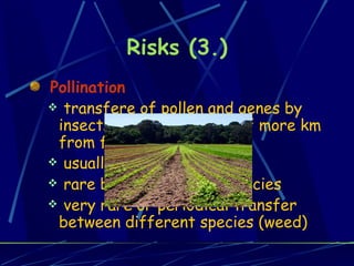 Pollination transfere of pollen and genes by insects even in the area of more km from field with GMO usually inside the species  rare between relative species very rare or periodical transfer between different species (weed) Risks (3.) 
