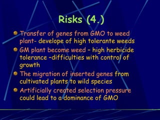 Risks (4.) Transfer of genes from GMO to weed plant - develope of high tolerante weeds GM plant become weed  – high herbicide tolerance –difficulties with control of growth The migration of inserted genes  from cultivated plants to wild species Artificially created selection pressure  could lead to a dominance of GMO 