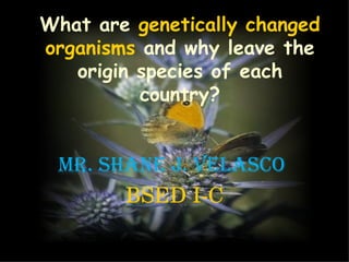 What are   genetically changed organisms   and why leave the origin species of each country? Mr.  Shane J. Velasco  BSED I-C 