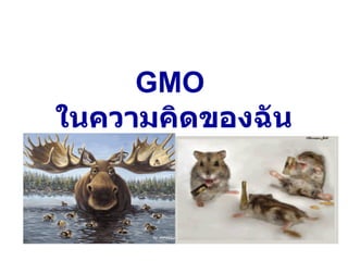 Gmo