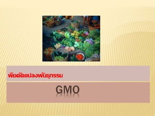 GMO
พืชดัดแปลงพันธุกรรม
 