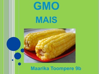 GMO
MAIS

Maarika Toompere 9b

 