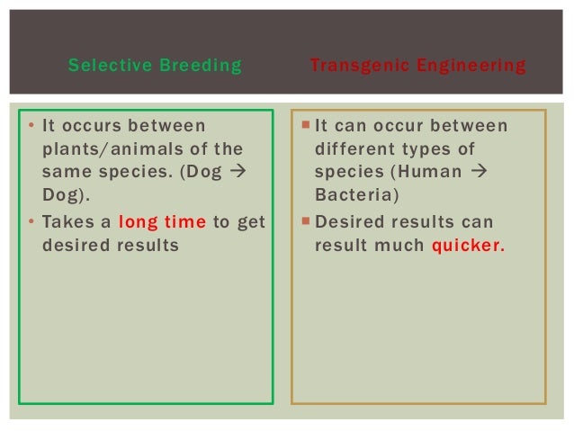 what is the difference between genetic engineering and genetic modification what is the difference between genetic engineering and genetic modification