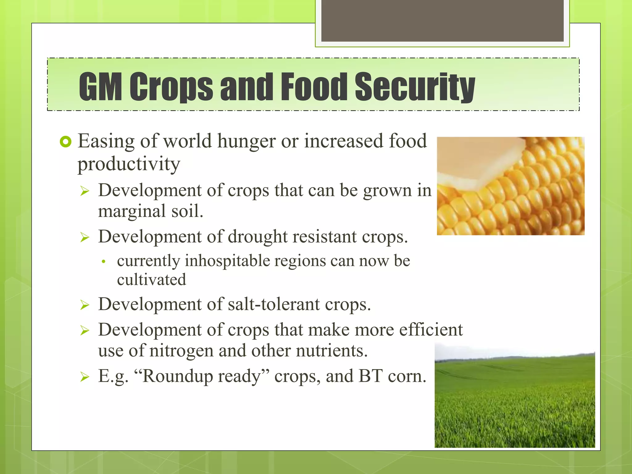 Genetically modified crops | PPTX