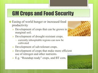 GM Crops and Food Security
 Easing of world hunger or increased food
productivity
 Development of crops that can be grown in
marginal soil.
 Development of drought resistant crops.
• currently inhospitable regions can now be
cultivated
 Development of salt-tolerant crops.
 Development of crops that make more efficient
use of nitrogen and other nutrients.
 E.g. “Roundup ready” crops, and BT corn.
 