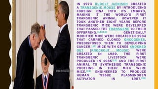 IN 1973 RUDOLF JAENISCH CREATED
A TRANSGENIC MOUSE BY INTRODUCING
FOREIGN DNA INTO ITS EMBRYO,
MAKING IT THE WORLD’S FIRST
TRANSGENIC ANIMAL. HOWEVER IT
TOOK ANOTHER EIGHT YEARS BEFORE
TRANSGENIC MICE WERE DEVELOPED
THAT PASSED THE TRANSGENE TO THEIR
OFFSPRING.[15][16] GENETICALLY
MODIFIED MICE WERE CREATED IN 1984
THAT CARRIED CLONED ONCOGENES,
PREDISPOSED THEM TO DEVELOPING
CANCER.[17] MICE WITH GENES KNOCKED
OUT (KNOCKOUT MOUSE) WERE
CREATED IN 1989. THE FIRST
TRANSGENIC LIVESTOCK WERE
PRODUCED IN 1985[18] AND THE FIRST
ANIMAL TO SYNTHESISE TRANSGENIC
PROTEINS IN THEIR MILK WERE
MICE,[19] ENGINEERED TO PRODUCE
HUMAN TISSUE PLASMINOGEN
ACTIVATOR IN 1987.[20]
 