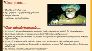 •Gmo plants….
• Used to get rid of virus
• Eg., papaya --- papaya ring spot virus
• Fungal diseases
• pathogen derived resisant
•Gmo animals/mammals…..
• to research human diseases (for example, to develop animal models for these diseases);
• to produce industrial or consumer products (fibres for multiple uses);
• to produce products intended for human therapeutic use (pharmaceutical products or tissue
implantation);
• to enrich or enhance the animals' interactions with humans (hypo-allergenic pets);
• to enhance production or food quality traits (faster growing fish, pigs that digest food more
efficiently);
• to improve animal health (disease resistance)[76]
 