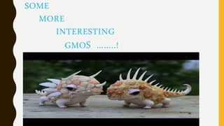 SOME
MORE
INTERESTING
GMOS ……..!
 