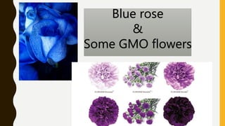 Blue rose
&
Some GMO flowers
 