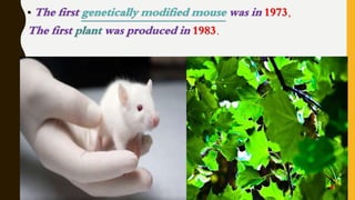 • The first genetically modified mouse was in 1973,
The first plant was produced in 1983.
 
