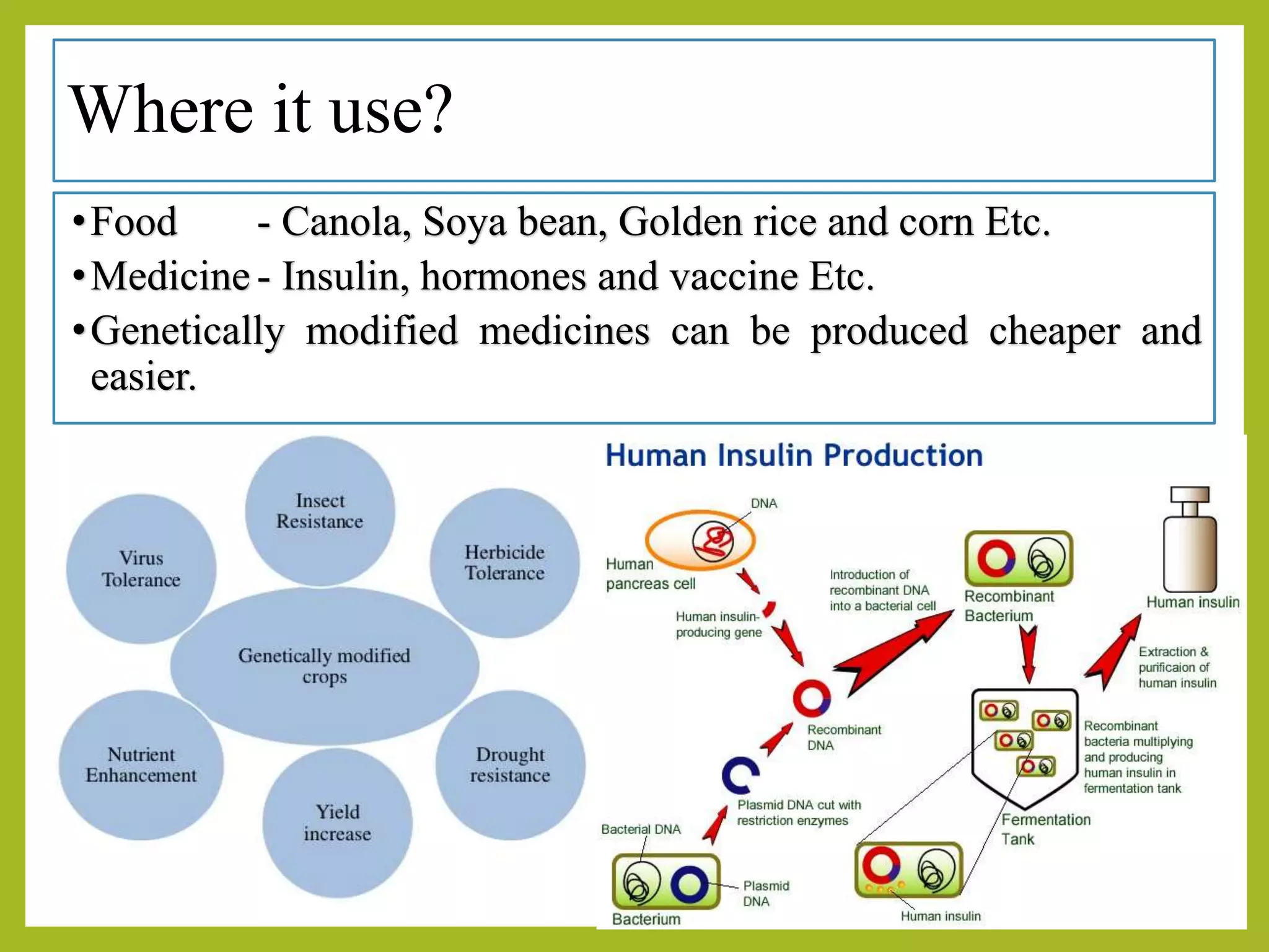 GMO, Genetically modified organisms, agricultural and horticultural ...