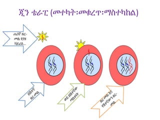 ጂን ቴራፒ (መተካት፡መቁረጥ፡ማስተካከል)
ሀጤነኛ ዘረ-
መል የያዘ
ቫይረስ…
 