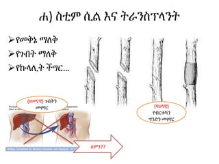 ሐ) ስቲም ሲል እና ትራንስፕላንት
የመቅኔ ማለቅ
የጉበት ማለቅ
የኩላሊት ችግር…
(ዘመናዊ) ጉበትን
መቀየር (ባህላዊ)
የብርቱካን
ግንድን መቀየር
ለምን??
 