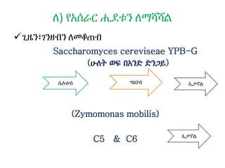 ለ) የአሰራር ሒደቱን ለማሻሻል
ጊዜን፣ገንዘብን ለመቆጠብ
Saccharomyces cereviseae YPB-G
(ሁለት ወፍ በአንድ ድንጋይ)
(Zymomonas mobilis)
C5 & C6
ሴሉሎስ ግልኮስ ኢታኖል
 