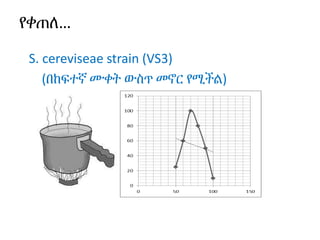 የቀጠለ…
S. cereviseae strain (VS3)
(በከፍተኛ ሙቀት ውስጥ መኖር የሚችል)
 