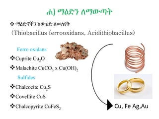 ሐ) ማዕድን ለማውጣት
ማዕድኖችን ከውህድ ለመለየት
(Thiobacillus ferrooxidans, Acidithiobacillus)
Ferro oxidans
Cuprite Cu2O
Malachite CuCO3 x Cu(OH)2
Sulfides
Chalcocite Cu2S
Covellite CuS
Chalcopyrite CuFeS2 Cu, Fe Ag,Au
 