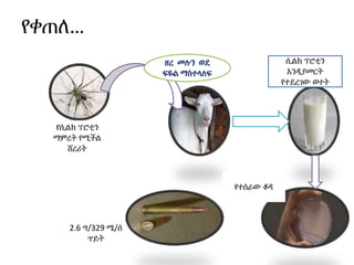 የቀጠለ…
የሲልክ ፕሮቲን
ማምረት የሚችል
ሸረሪት
ሲልክ ፕሮቲን
እንዲያመርት
የተደረገው ወተት
የተሰራው ቆዳ
2.6 ግ/329 ሜ/ሰ
ጥይት
ዘረ መሉን ወደ
ፍዬል ማስተላለፍ
 