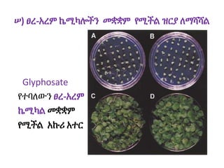 ሠ) ፀረ-አረም ኬሚካሎችን መቋቋም የሚችል ዝርያ ለማሻሻል
Glyphosate
የተባለውን ፀረ-አረም
ኬሚካል መቋቋም
የሚችል አኩሪ አተር
 