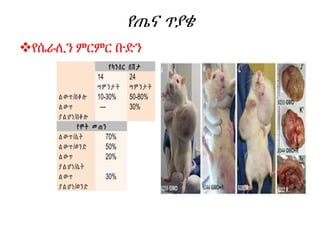 የጤና ጥያቄ
የሴራሊን ምርምር ቡድን
የካንሰር በሽ ታ
14
ሣም ንታ ት
24
ሣም ንታ ት
ል ውጥ/በቆ ሎ 10-30% 50-80%
ል ውጥ
ያ ል ሆነ/በቆ ሎ
--- 30%
የሞት መ ጠን
ል ውጥ/ሴት 70%
ል ውጥ/ወንድ 50%
ል ውጥ
ያ ል ሆነ/ሴት
20%
ል ውጥ
ያ ል ሆነ/ወንድ
30%
 