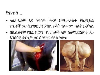 የቀጠለ…
• ለፀረ-አረም እና ነፍሳት ዙሪያ ከሚመረቱት የኬሚካል
ምርቶች ጋር ሲነፃፀር ያን ያክል ጉዳት የለውም ማለት ይቻላል
• በቤልጅየም የበሬ ኮርማ የተጠቃች ላም ስለሚደርስባት ኢ-
እንሰሳዊ ድርጊት ጋር ሲነፃፀር ቀላል ነው፡፡
 