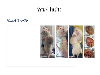 የጤና ክርክር
የሴራሊን ጥናት
 