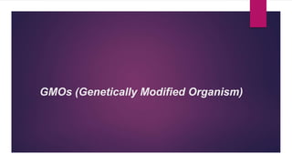 GMOs (Genetically Modified Organism)
 