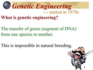 1
Genetic Engineering
--- started in 1970s
What is genetic engineering?
The transfer of genes (segment of DNA)
from one species to another.
This is impossible in natural breeding.
 