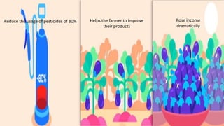 Reduce the usage of pesticides of 80% Helps the farmer to improve
their products
Rose income
dramatically
 