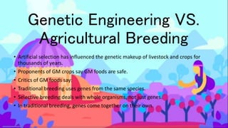 Genetic Engineering VS.
Agricultural Breeding
• Artificial selection has influenced the genetic makeup of livestock and crops for
thousands of years.
• Proponents of GM crops say GM foods are safe.
• Critics of GM foods say:
• Traditional breeding uses genes from the same species.
• Selective breeding deals with whole organisms, not just genes.
• In traditional breeding, genes come together on their own.
 