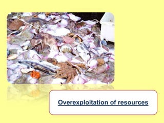 Overexploitation of resources
 