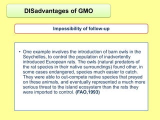 DISadvantages of GMO

                 Impossibility of follow-up



• One example involves the introduction of barn owls in the
  Seychelles, to control the population of inadvertently
  introduced European rats. The owls (natural predators of
  the rat species in their native surroundings) found other, in
  some cases endangered, species much easier to catch.
  They were able to out-compete native species that preyed
  on these animals, and eventually represented a much more
  serious threat to the island ecosystem than the rats they
  were imported to control. (FAO,1993)
 