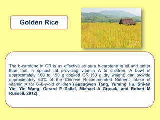 Golden Rice




The b-carotene in GR is as effective as pure b-carotene in oil and better
than that in spinach at providing vitamin A to children. A bowl of
approximately 100 to 150 g cooked GR (50 g dry weight) can provide
approximately 60% of the Chinese Recommended Nutrient Intake of
vitamin A for 6–8-y-old children (Guangwen Tang, Yuming Hu, Shi-an
Yin, Yin Wang, Gerard E Dallal, Michael A Grusak, and Robert M
Russell, 2012).
 