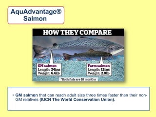 AquAdvantage®
   Salmon




• GM salmon that can reach adult size three times faster than their non-
  GM relatives (IUCN The World Conservation Union).
 