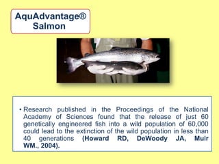 AquAdvantage®
   Salmon




• Research published in the Proceedings of the National
  Academy of Sciences found that the release of just 60
  genetically engineered fish into a wild population of 60,000
  could lead to the extinction of the wild population in less than
  40 generations (Howard RD, DeWoody JA, Muir
  WM., 2004).
 