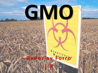 GMO
Radoslav Forro
I . B
 