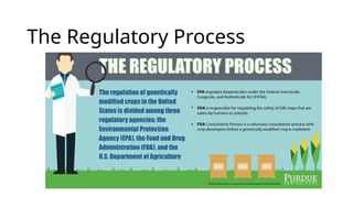 The Regulatory Process
 