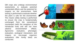 GM crops also undergo environmental
assessments to evaluate potential
unintended effects and the potential for
impacts on the environment. Field
testing is performed to evaluate whether
the plant is safe for the environment.
This means safety testing is performed
to ensure the crop is fundamentally
unchanged from the conventional
counterpart (with the exception of the
introduced trait) and will not have
adverse environmental effects.
Agronomic evaluation, phenotypic
evaluation, ecological interactions and
impacts on non-target organism
evaluations (like honey bees) are
conducted.
 