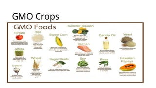 GMO Crops
 