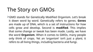 The Story on GMOs
GMO stands for Genetically Modified Organism. Let’s break
it down word by word. Genetically refers to genes. Genes
are made up of DNA, which is a set of instructions for how
cells grow and develop. Second is modified. This implies
that some change or tweak has been made. Lastly, we have
the word Organism. When it comes to GMOs, many people
only think of crops. Yet an ‘organism’ isn’t just a plant; it
refers to all living things, including bacteria and fungi.
 