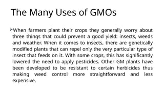 The Many Uses of GMOs
When farmers plant their crops they generally worry about
three things that could prevent a good yield: insects, weeds
and weather. When it comes to insects, there are genetically
modified plants that can repel only the very particular type of
insect that feeds on it. With some crops, this has significantly
lowered the need to apply pesticides. Other GM plants have
been developed to be resistant to certain herbicides thus
making weed control more straightforward and less
expensive.
 