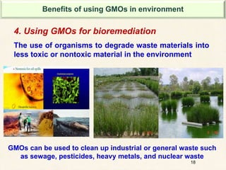 18
4. Using GMOs for bioremediation
The use of organisms to degrade waste materials into
less toxic or nontoxic material in the environment
GMOs can be used to clean up industrial or general waste such
as sewage, pesticides, heavy metals, and nuclear waste
Benefits of using GMOs in environment
 
