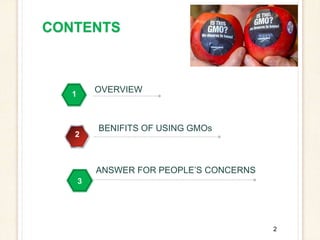 2
CONTENTS
1
2
BENIFITS OF USING GMOs
3
ANSWER FOR PEOPLE’S CONCERNS
OVERVIEW
 