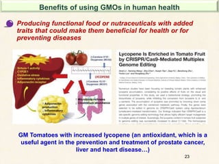 23
Producing functional food or nutraceuticals with added
traits that could make them beneficial for health or for
preventing diseases
GM Tomatoes with increased lycopene (an antioxidant, which is a
useful agent in the prevention and treatment of prostate cancer,
liver and heart disease…)
Benefits of using GMOs in human health
 