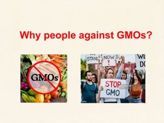 Why people against GMOs?
 