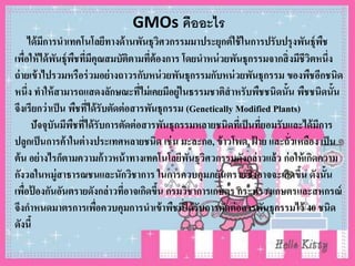 GMOs คืออะไร
ได้มีการนาเทคโนโลยีทางด้านพันธุวิศวกรรมมาประยุกต์ใช้ในการปรับปรุงพันธุ์พืช
เพื่อให้ได้พันธุ์พืชที่มีคุณสมบัติตามที่ต้องการ โดยนาหน่วยพันธุกรรมจากสิ่งมีชีวิตหนึ่ง
ถ่ายเข้าไปรวมหรือร่วมอย่างถาวรกับหน่วยพันธุกรรมกับหน่วยพันธุกรรม ของพืชอีกชนิด
หนึ่ง ทาให้สามารถแสดงลักษณะที่ไม่เคยมีอยู่ในธรรมชาติสาหรับพืชชนิดนั้น พืชชนิดนั้น
จึงเรียกว่าเป็น พืชที่ได้รับตัดต่อสารพันธุกรรม (Genetically Modified Plants)
ปัจจุบันมีพืชที่ได้รับการตัดต่อสารพันธุกรรมหลายชนิดที่เป็นที่ยอมรับและได้มีการ
ปลูกเป็นการค้าในต่างประเทศหลายชนิด เช่น มะละกอ, ข้าวโพด, ฝ้ าย และถั่วเหลือง เป็น
ต้น อย่างไรก็ตามความก้าวหน้าทางเทคโนโลยีพันธุวิศวกรรมดังกล่าวแล้ว ก่อให้เกิดความ
กังวลในหมู่สาธารณชนและนักวิชาการ ในการควบคุมภยันตรายซึ่งอาจจะเกิดขึ้น ดังนั้น
เพื่อป้ องกันอันตรายดังกล่าวที่อาจเกิดขึ้น กรมวิชาการเกษตร กระทรวงเกษตรและสหกรณ์
จึงกาหนดมาตรการเพื่อควบคุมการนาเข้าพืชที่ได้รับการตัดต่อสารพันธุกรรมไว้ 40 ชนิด
ดังนี้
 